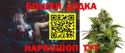 ECSTASY Новозыбков